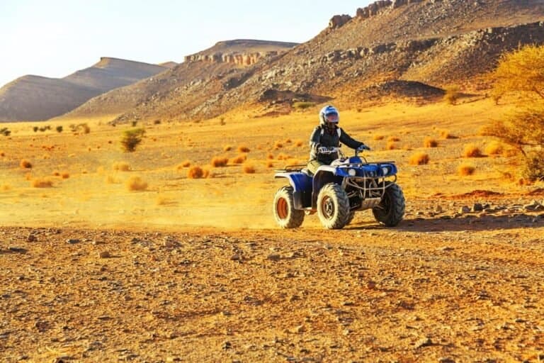SandBoarding